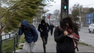Golpe de viento en la zona sur: Meteorología emite aviso por ráfagas de hasta 80 km/h para estas dos regiones