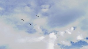 Nieblas y lloviznas en el centro sur: Estas ciudades de Maule se mantendrán con cielo cubierto por el resto de la semana