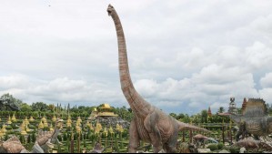 'No tenemos muchos especímenes de este tamaño': Descubren un nuevo dinosaurio de 27 metros de largo y casi 30 toneladas