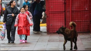 Se mantiene la estabilidad en Chile continental: Meteorología prevé que aquí habrá precipitaciones este sábado