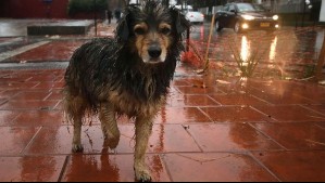 Precipitaciones se extenderán por 10 regiones este miércoles: Abarcarán estas ciudades del Norte Chico y la zona central