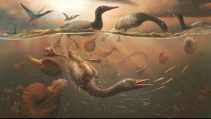 'Este ecosistema era más complejo': Confirman que hubo dinosaurios y aves prehistóricas en esta zona de Valparaíso