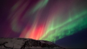 Comparten imágenes de las auroras australes en la Antártida: ¿Cómo se forma este colorido fenómeno?