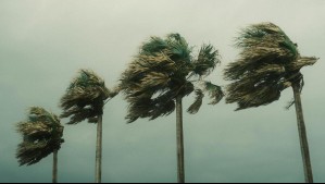 Probables tormentas de arena: Meteorología actualiza aviso por vientos moderados de hasta 80 km/h en el norte