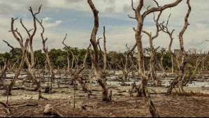 'El Niño Godzilla' se concretaría durante este trimestre: Alejandro Sepúlveda adelanta cuándo sería 'más intenso'
