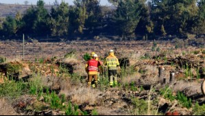 'La superficie afectada alcanza las 1.257,13 hectáreas': Conaf reporta 135 incendios forestales en los últimos dos meses