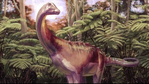'Este hueso estuvo en un cajón durante décadas': Descubren el primer fósil de un dinosaurio que habitaba la Antártica