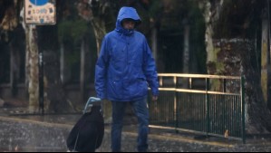 'Lluvia intensa en pocas horas' en la región de Coquimbo: Estas ciudades registrarían 'los pulsos más importantes'