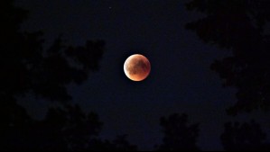¿Habrá una luna de sangre en Chile? Este día de agosto se concretará el último eclipse de 2026