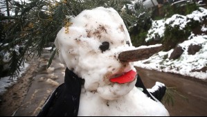 'No es el típico sistema frontal': Alejandro Sepúlveda detalla qué sectores recibirían nieve durante este viernes