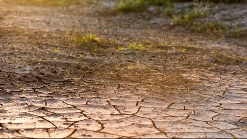 Un fenómeno de El Niño extremo causaría una crisis alimentaria global en 2027: Estos serían los países más vulnerables