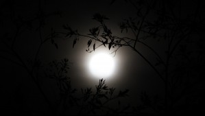 Luna de la cosecha vista desde Valparaíso. Foto: Aton.