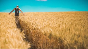 'Sus impactos se van a amplificar': Advierten que este histórico El Niño podría causar una crisis alimentaria global