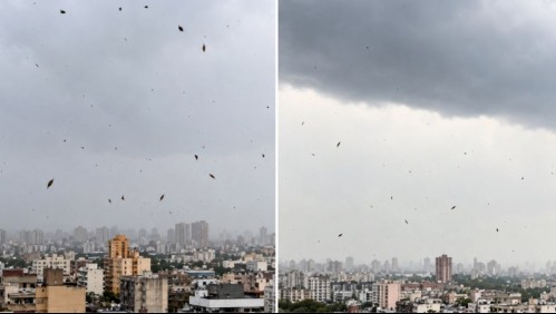 ¿Tornado en Santiago? Experto analiza inusual fenómeno registrado durante la tormenta