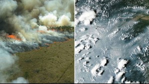 Alerta por 'efecto dominó' de El Niño: La Amazonía entra en su temporada de incendios más severa y prolongada
