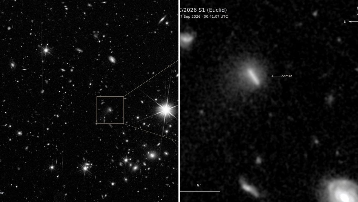 Euclid Space Telescope discovered unidentified comet C/2026 S1