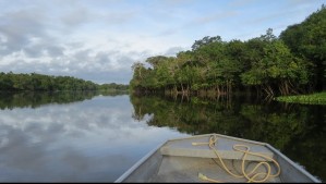 'El problema es la actividad humana': Nuevo estudio revela que la Amazonía está emitiendo más carbono del que absorbe